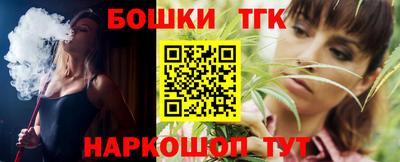 индика Мариинск