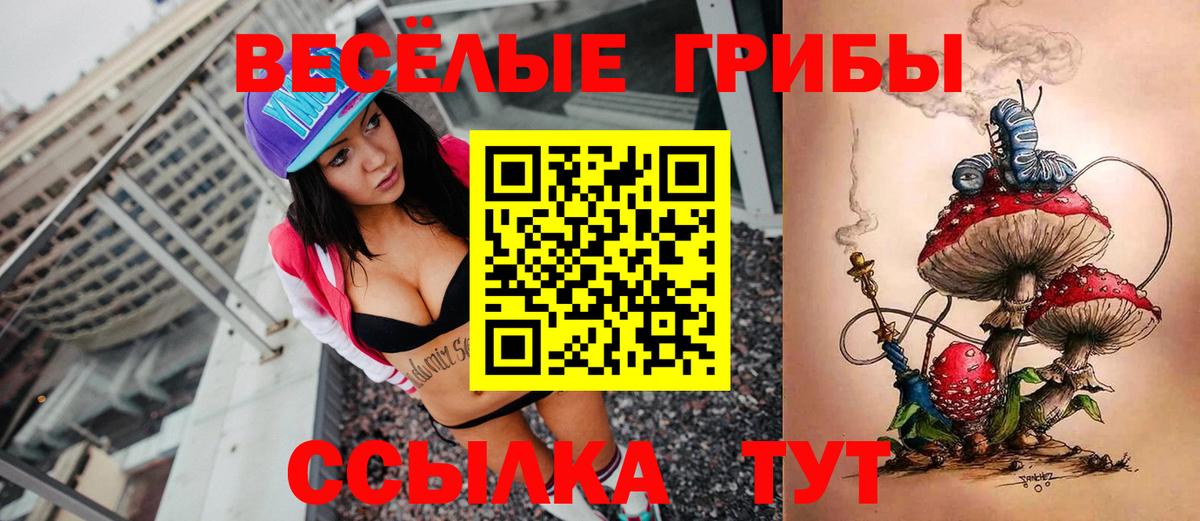 Галлюциногенные грибы прущие грибы Тихвин